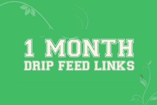 Daily Manual Drip Feed Penguin Safe 30 Actual PR3+ Low Obl Backlinks For 30 days